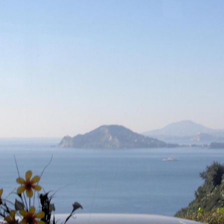Mini Hotel - Angolo Di Paradiso - Pozzuoli Exterior photo